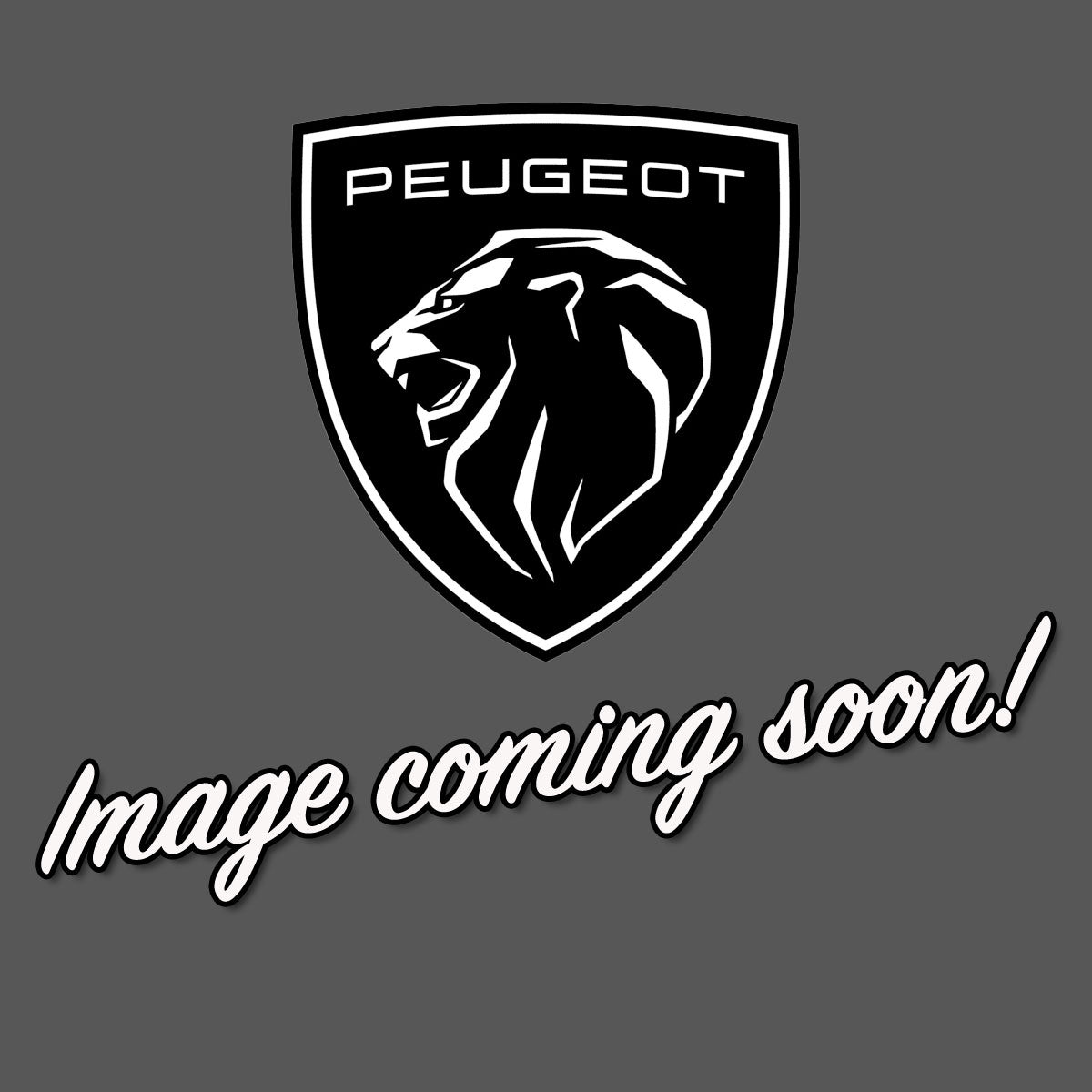 Peugeot - Cab Rug